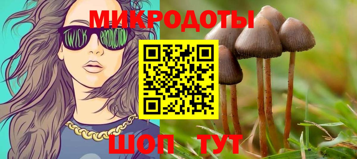 Галлюциногенные грибы прущие грибы  Галлюциногенные грибы GOLDEN TEACHER  Вход с VPN  Янаул 